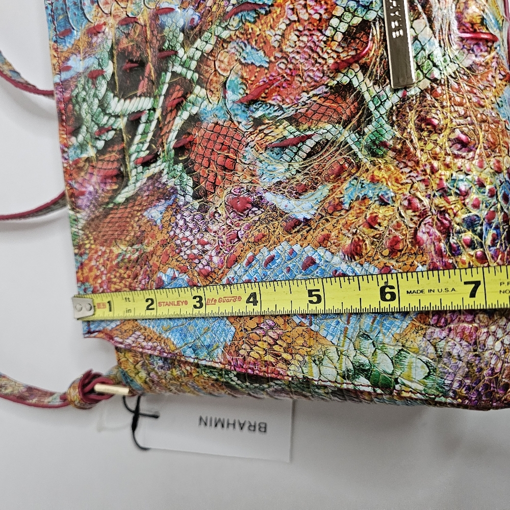 BRAHMIN - Picture 6 of 11